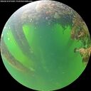 ./images/calvert/underwater/20260610/underwater20260610_071002M.jpg