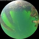 ./images/calvert/underwater/20260610/underwater20260610_071501M.jpg
