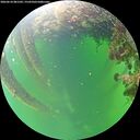 ./images/calvert/underwater/20260610/underwater20260610_081502M.jpg