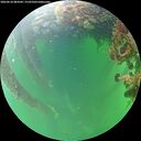 ./images/calvert/underwater/20260610/underwater20260610_084502M.jpg