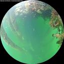 ./images/calvert/underwater/20260610/underwater20260610_090501M.jpg