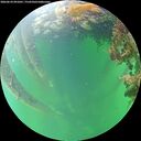 ./images/calvert/underwater/20260610/underwater20260610_091001M.jpg