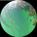 ./images/calvert/underwater/20260610/underwater20260610_091502M.jpg