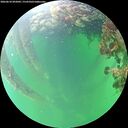 ./images/calvert/underwater/20260610/underwater20260610_092002M.jpg