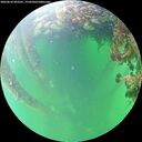 ./images/calvert/underwater/20260610/underwater20260610_092501M.jpg