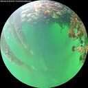 ./images/calvert/underwater/20260610/underwater20260610_093501M.jpg