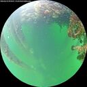 ./images/calvert/underwater/20260610/underwater20260610_094501M.jpg