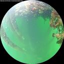 ./images/calvert/underwater/20260610/underwater20260610_095501M.jpg