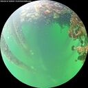 ./images/calvert/underwater/20260610/underwater20260610_100001M.jpg