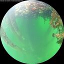 ./images/calvert/underwater/20260610/underwater20260610_100501M.jpg