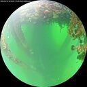 ./images/calvert/underwater/20260610/underwater20260610_101002M.jpg