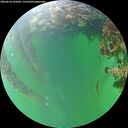 ./images/calvert/underwater/20260610/underwater20260610_102001M.jpg