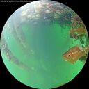 ./images/calvert/underwater/20260610/underwater20260610_102501M.jpg