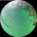 ./images/calvert/underwater/20260610/underwater20260610_103001M.jpg
