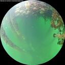 ./images/calvert/underwater/20260610/underwater20260610_103501M.jpg