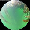./images/calvert/underwater/20260610/underwater20260610_104001M.jpg