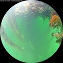 ./images/calvert/underwater/20260610/underwater20260610_105002M.jpg