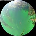 ./images/calvert/underwater/20260610/underwater20260610_111501M.jpg