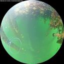 ./images/calvert/underwater/20260610/underwater20260610_112501M.jpg