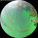 ./images/calvert/underwater/20260610/underwater20260610_113501M.jpg