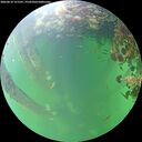 ./images/calvert/underwater/20260610/underwater20260610_121501M.jpg