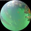 ./images/calvert/underwater/20260610/underwater20260610_122001M.jpg