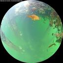 ./images/calvert/underwater/20260610/underwater20260610_122501M.jpg