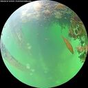 ./images/calvert/underwater/20260610/underwater20260610_123501M.jpg