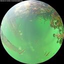 ./images/calvert/underwater/20260610/underwater20260610_125001M.jpg