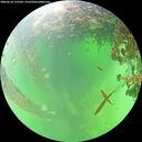 ./images/calvert/underwater/20260610/underwater20260610_125501M.jpg