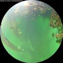 ./images/calvert/underwater/20260610/underwater20260610_131001M.jpg