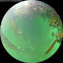 ./images/calvert/underwater/20260610/underwater20260610_131501M.jpg