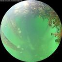 ./images/calvert/underwater/20260610/underwater20260610_132001M.jpg