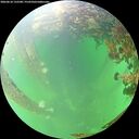 ./images/calvert/underwater/20260610/underwater20260610_132501M.jpg