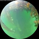 ./images/calvert/underwater/20260610/underwater20260610_133001M.jpg
