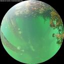 ./images/calvert/underwater/20260610/underwater20260610_133501M.jpg