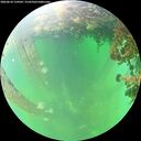 ./images/calvert/underwater/20260610/underwater20260610_134501M.jpg