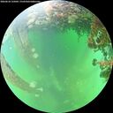 ./images/calvert/underwater/20260610/underwater20260610_135001M.jpg