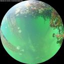 ./images/calvert/underwater/20260610/underwater20260610_135501M.jpg
