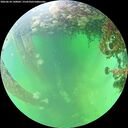 ./images/calvert/underwater/20260610/underwater20260610_140002M.jpg