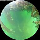 ./images/calvert/underwater/20260610/underwater20260610_140501M.jpg