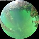 ./images/calvert/underwater/20260610/underwater20260610_141001M.jpg