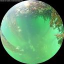 ./images/calvert/underwater/20260610/underwater20260610_142001M.jpg
