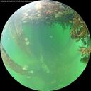 ./images/calvert/underwater/20260610/underwater20260610_142501M.jpg