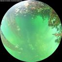 ./images/calvert/underwater/20260610/underwater20260610_143001M.jpg