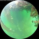 ./images/calvert/underwater/20260610/underwater20260610_143501M.jpg