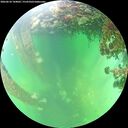 ./images/calvert/underwater/20260610/underwater20260610_144001M.jpg
