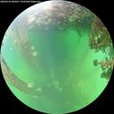./images/calvert/underwater/20260610/underwater20260610_144502M.jpg