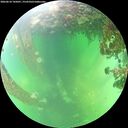 ./images/calvert/underwater/20260610/underwater20260610_145001M.jpg