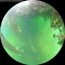 ./images/calvert/underwater/20260610/underwater20260610_145501M.jpg